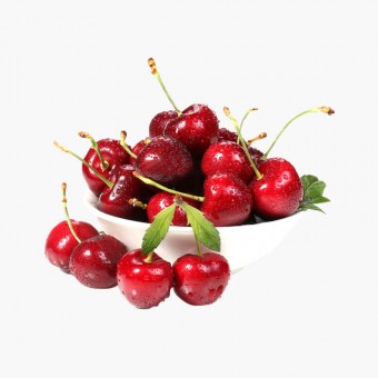 SANY 入耳式 无线蓝牙耳机 降噪耳机 黑色 白色 SANY 入耳式 无线蓝牙耳机 降噪耳机 黑色 白色